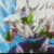 1piccolo1.gif