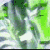 1piccolo2.gif