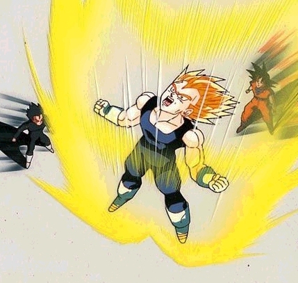 Vegeta-73