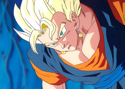 1Vegetto-13