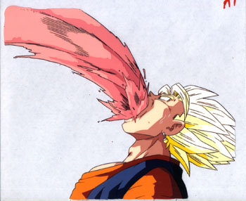 1Vegetto-14