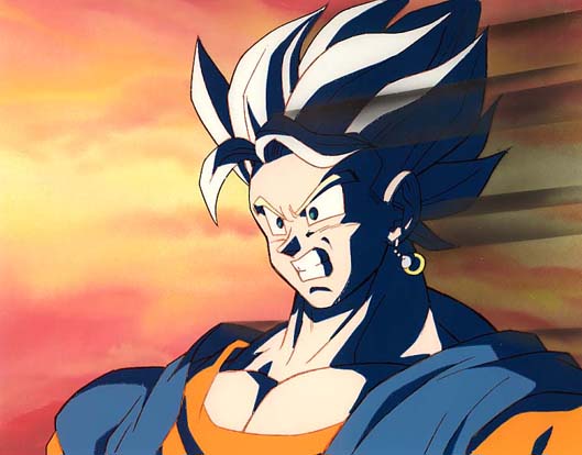 1Vegetto-7
