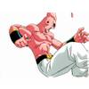 1Buu-12.jpg