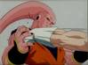 1Buu-18.jpg