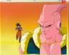 1Buu-23.jpg