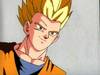 1Gohan-1.jpg