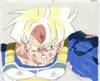 1Gohan-17.jpg