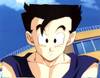 1Gohan-23.jpg