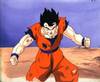 1Gohan-28.jpg