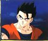 1Gohan-41.jpg