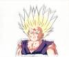 1Gohan-59.jpg
