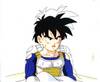 1Gohan-64.jpg