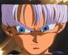 1Trunks-10.jpg