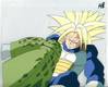 1Trunks-14.jpg