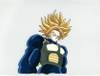 1Trunks-16.jpg