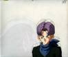 1Trunks-2.jpg