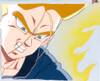 1Trunks-23.jpg