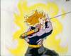 1Trunks-25.jpg