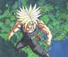 1Trunks-27.jpg