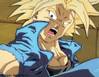 1Trunks-28.jpg