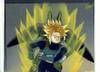 1Trunks-29.jpg