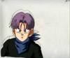 1Trunks-3.jpg