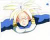 1Trunks-31.jpg