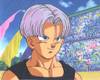 1Trunks-32.jpg