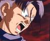 1Trunks-4.jpg
