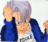 1Trunks-48.jpg