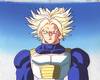 1Trunks-50.jpg
