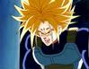 1Trunks-64.jpg