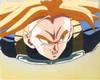 1Trunks-66.jpg