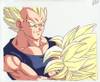 1Vegeta-22.jpg