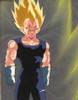 1Vegeta-30.jpg