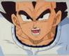 1Vegeta-33.jpg