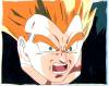 1Vegeta-39.jpg
