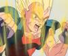 1Vegeta-46.jpg