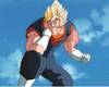 1Vegetto-10.jpg
