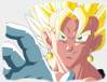 1Vegetto-11.jpg