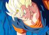 1Vegetto-13.jpg