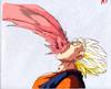 1Vegetto-14.jpg
