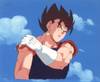 1Vegetto-2.jpg