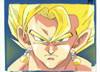 1Vegetto-4.jpg