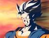 1Vegetto-7.jpg