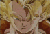 1fusion1.gif