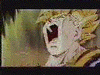 1goku10.gif