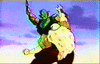 1piccolo01.gif